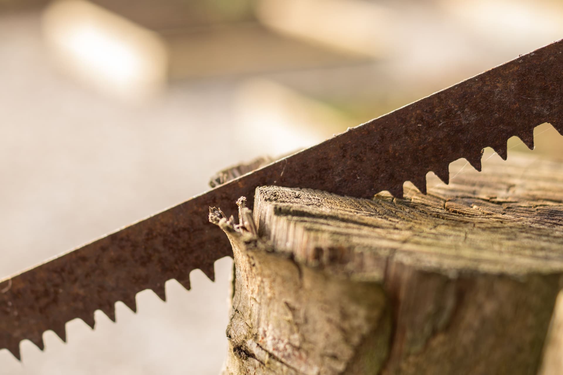 A hand saw cutting through a length of timber on a workbench